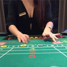 vf238 bet